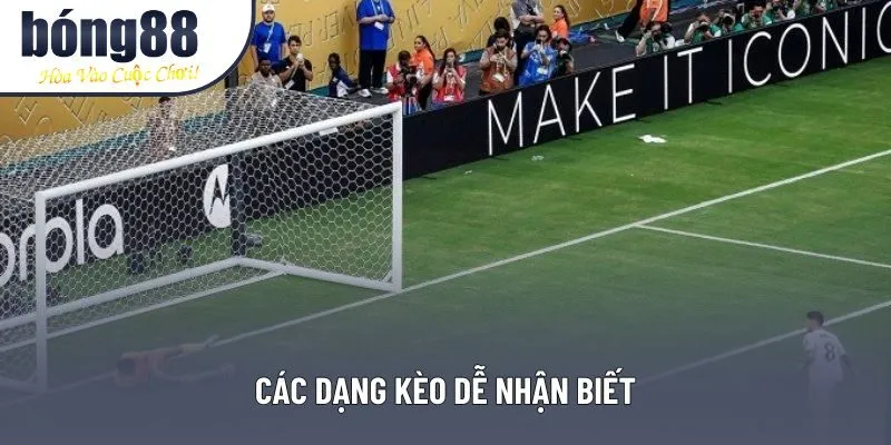 Các dạng kèo dễ nhận biết