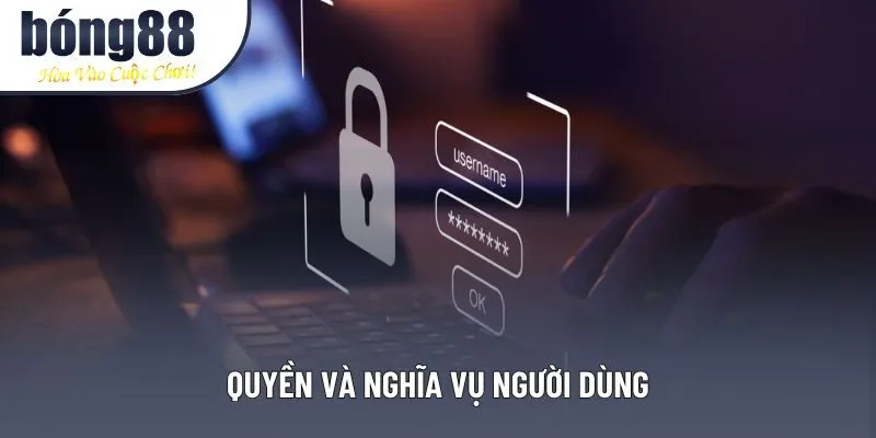 Quyền và nghĩa vụ người dùng