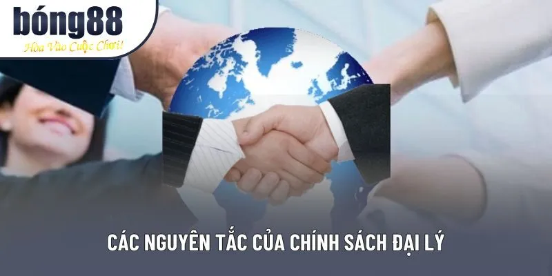 Các nguyên tắc của chính sách đại lý