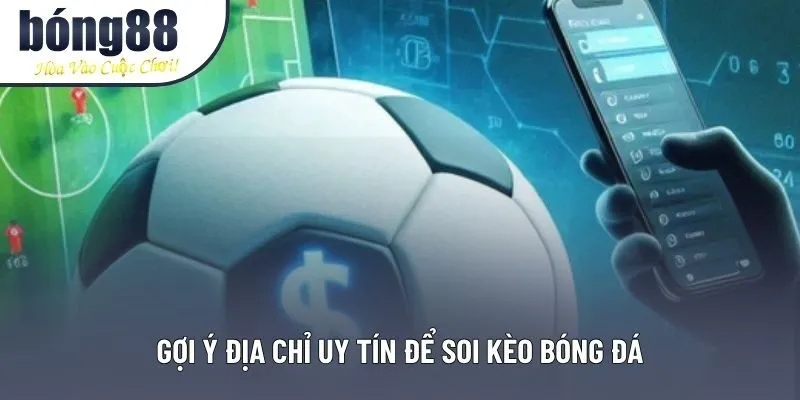 Gợi ý địa chỉ uy tín để soi kèo bóng đá