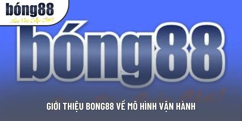 Giới thiệu Bong88 về mô hình vận hành