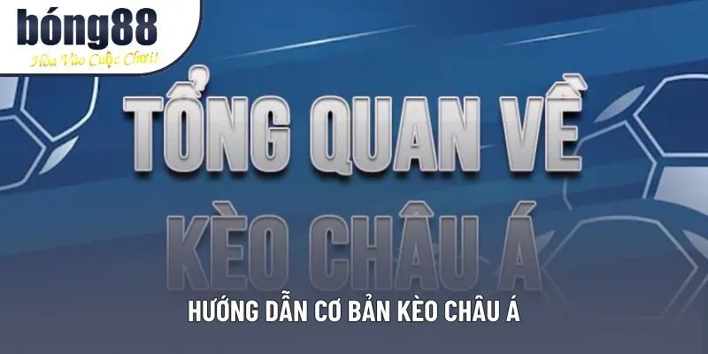 Hướng dẫn cơ bản kèo châu á