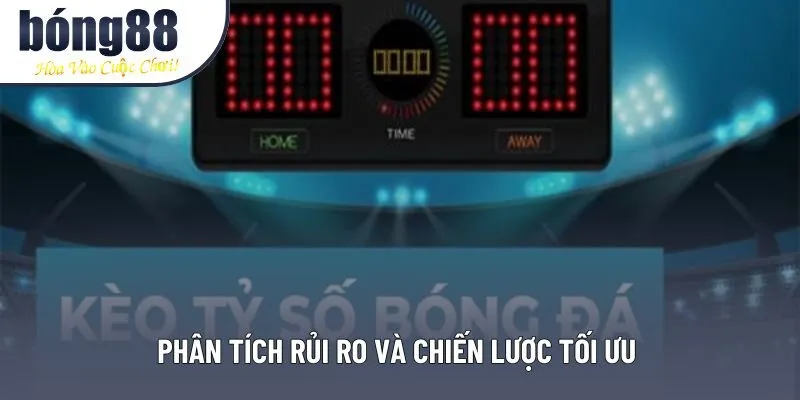 Phân tích rủi ro và chiến lược tối ưu 
