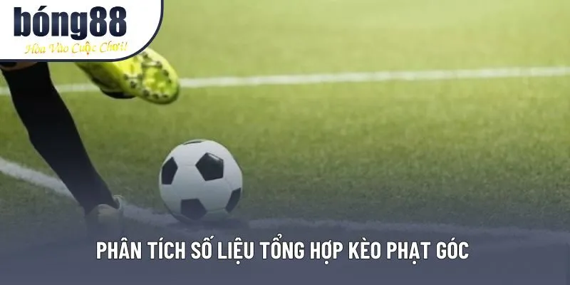 Phân tích số liệu tổng hợp kèo phạt góc 