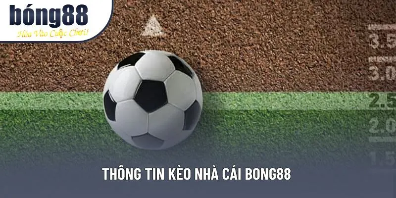 Thông tin kèo nhà cái Bong88 